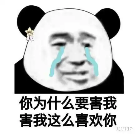 生气熊猫表情包动图土味