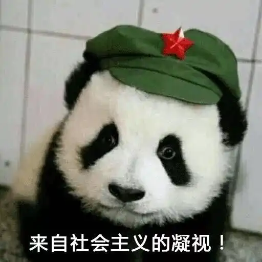  杨紫变身美妆博主学会这一招,你也可以