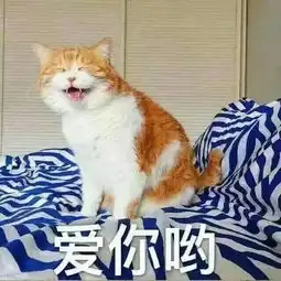  海量表情包仓库持续更新中