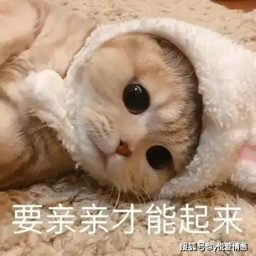  自己把自己备胎了搞清这一点,备胎转正