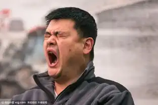  体育明星在两会姚明身高抢镜