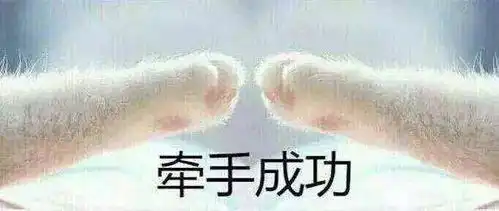 中奖表情包大全猫爪