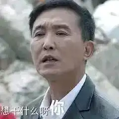  人民的名义表情包