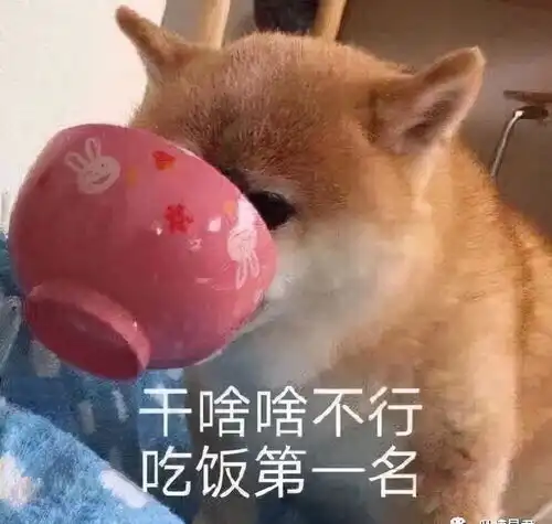  今年不敢回家过年,我妈还要喊我一声嫂子网友快点给妈准备压岁钱哈哈哈