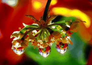 早上好表情包可爱白活