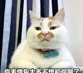 猫沙雕表情包凡尔赛