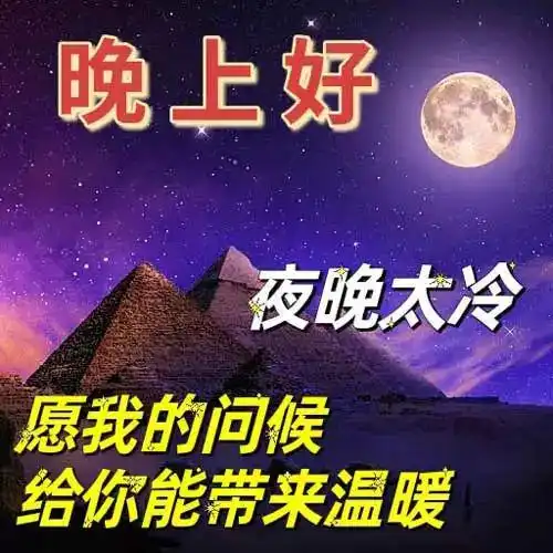 晚上好表情图搞笑的表情