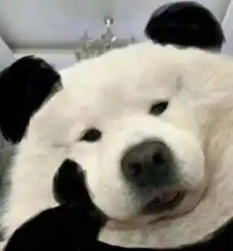  布吉华侨城来了哦,下手投资