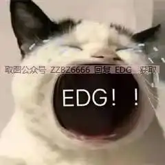  edg表情包丨edg加油恭喜edg获得冠军表情包
