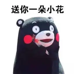  网约车走了,共享单车又来了,到底是喜是忧