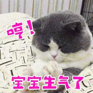  请问有没有超级萌的猫咪表情包