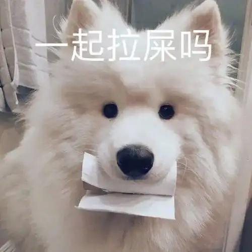 趣味表情包二十九,不太聪明但最可爱 趣味表情包二十九,不太聪明但最可爱