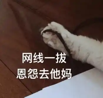  每日吸丨小奶猫真的是人间天使