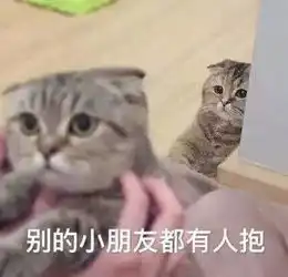 谁说吸猫毁一生,养猫穷三代不存在的