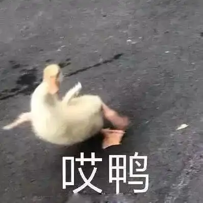  什么操作女子偷手机得手后却踢醒对方,警察都忍不住笑