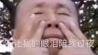  为什么就我抢不到春节回家的票