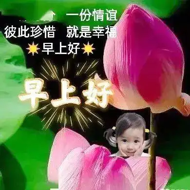  早上好表情包动态图片大全,亲爱的群友,大家早上好