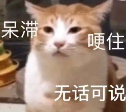 进城了表情包离谱