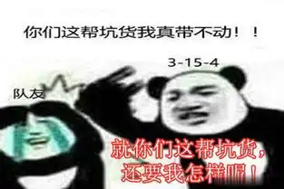  王者荣耀剖析菜鸟射手的游戏体验,不给射手就挂机,举报就退游