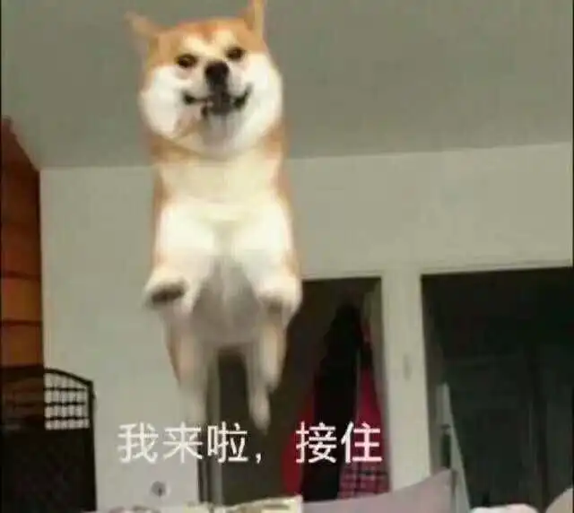  贵族女校神秘力量国庆留守儿童游玩攻略一则