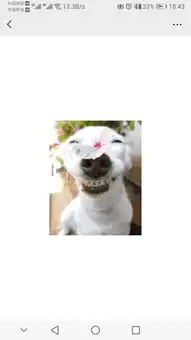  大神们这个微信动画表情是啥意思啊蝴蝶把狗头上花给弄掉了,我想知道表情带表的意思谢谢大神们