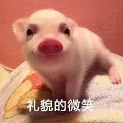  只属于小仙女的壁纸和猪猪表情包