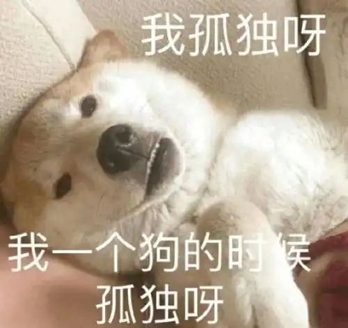  我父母爱情十级学者,有人和我讨论吗
