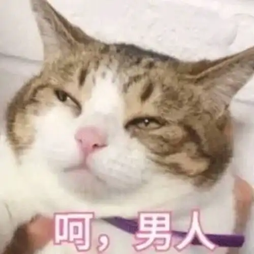  说好一起挂科,你却偷偷复了习