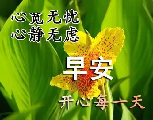  8张最美早上好动态图片表情带字和鲜花,早安问候语配动态图片