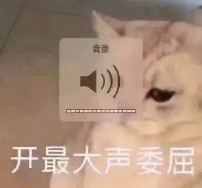  美国留学党回国后感觉自己像个智障