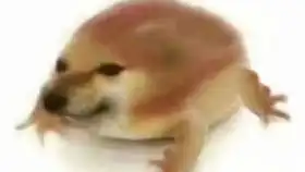 柴犬斜视表情包落泪