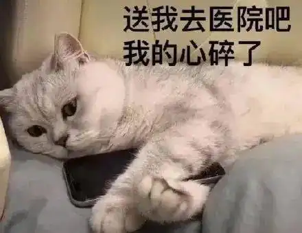 苏喂苏喂苏喂表情包心肌