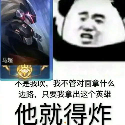 r1se表情包花开是壶马超