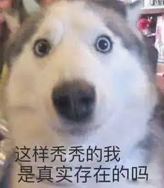 不是你的掉发表情包脱发
