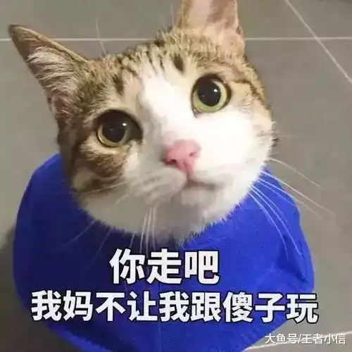  王者荣耀如果你家射手有以下4点表现,辅助再怎么努力都救不回来