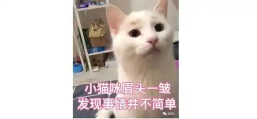  我家猫主子怕是有什么猫病,最近趁我不在家天天干这事.....
