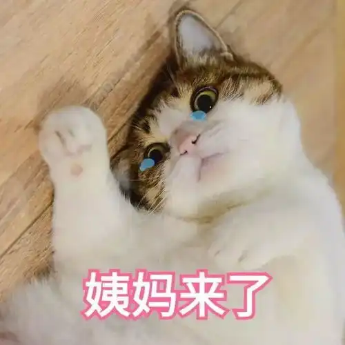  斗图小表情8.19