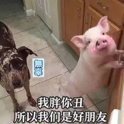 每日表情丨小哥哥上车吗