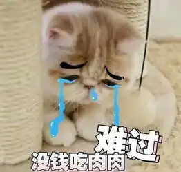  猫咪表情包来袭我没有在嘲笑你,别想太多