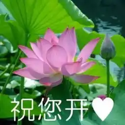  表情sir嘴唇干干的,好想被滋润