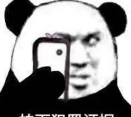  熊猫头聊天专用表情包我就是爱生气,你管得着吗
