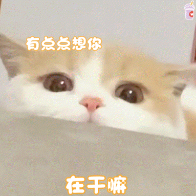  50个聊天斗图沙雕表情包丨今天使点什么坏好呢