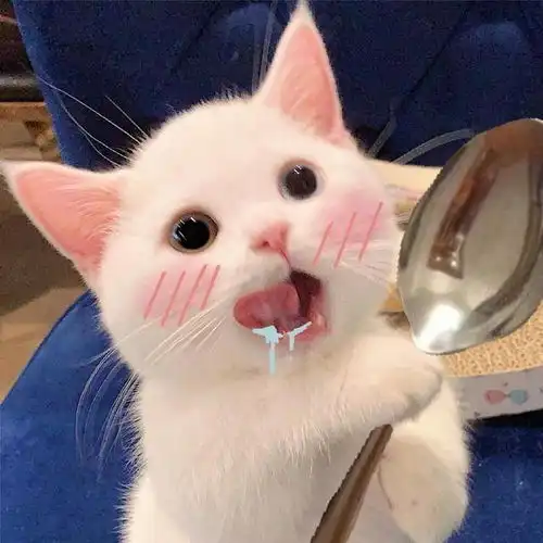 加菲猫表情包小视频晚安
