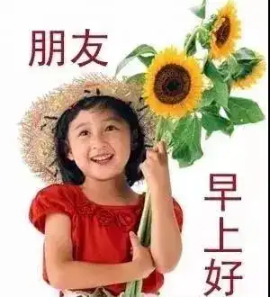  早晨好表情清晨早安问候语祝福话语