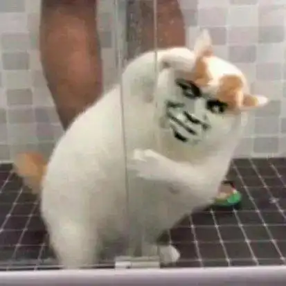  最萌文物出土5件猛男纯金猫爪,神评亮了...