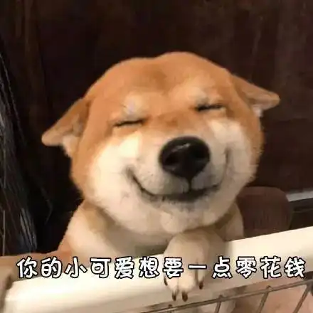 沙雕狗子表情包困意