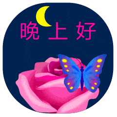  最新漂亮睡前晚上好问候祝福动态表情图片