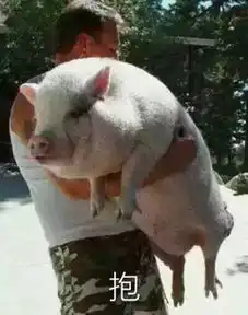  如果你是男的,在中暑和打伞之间,你怎么选