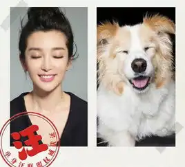 馋嘴的表情包搞笑李冰冰