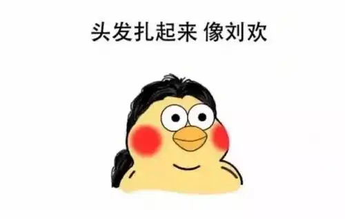  宅在家里,它们是我的快乐源泉